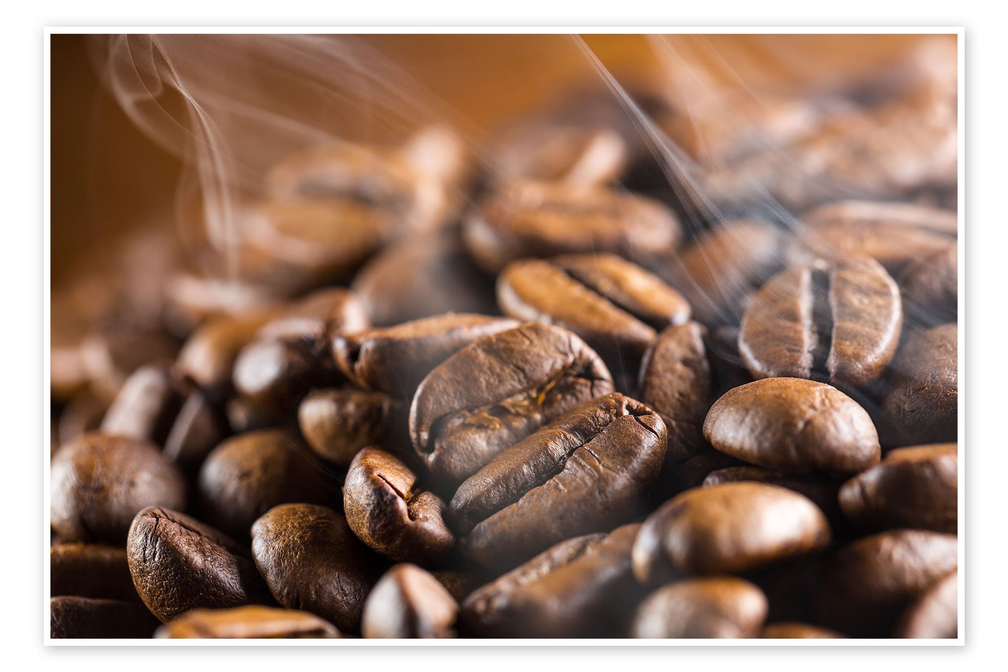 2.jpeg__PID:55cd8d2a-d156-4da4-91c8-1b0f6d686251