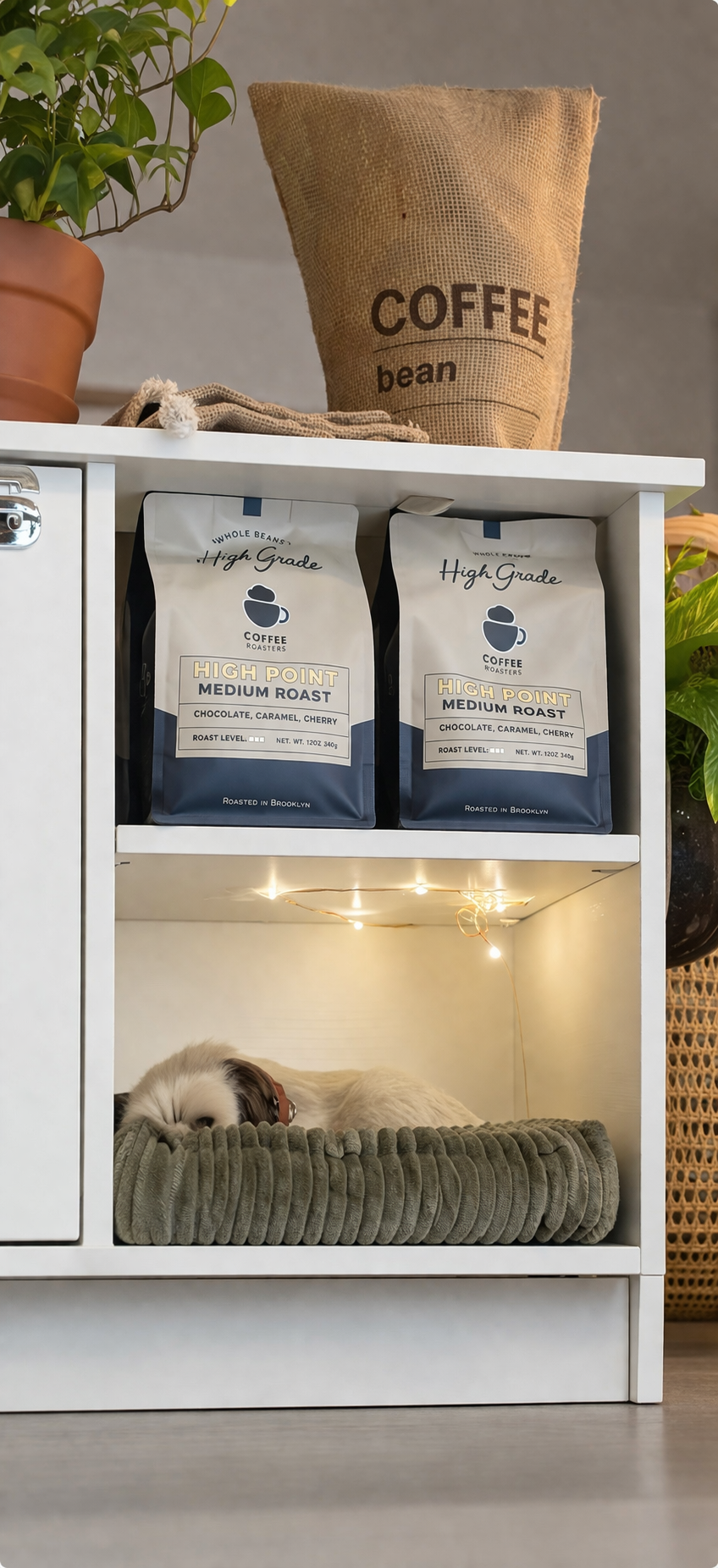 High Grade Coffee Roasters 