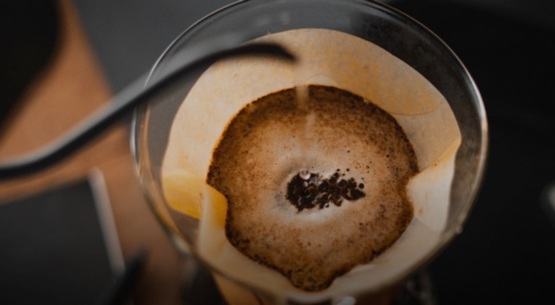 Lighthouse Duo — Brooklyn Light Roast (24oz)