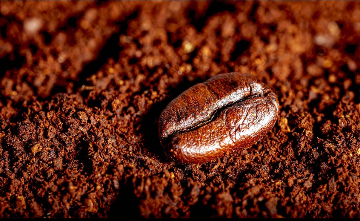 Rise & Grind Duo – Brooklyn Dark Roast (24oz)