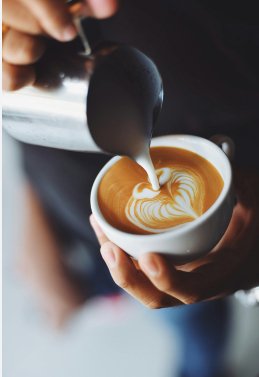 Medium Roasted Coffee Whole Beans - 12oz - High Grade Coffee